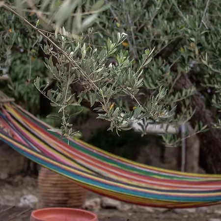 Amygdalia Traditional House بيت للعطل خانيا