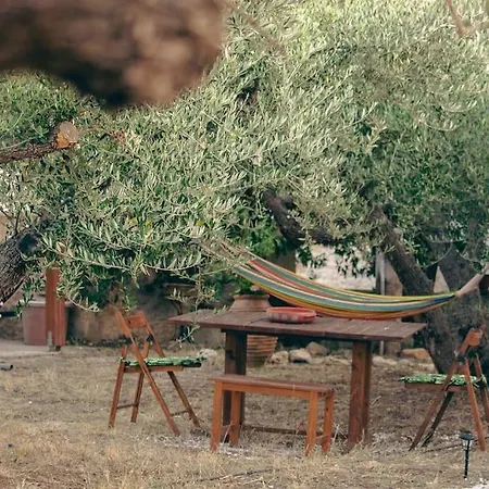 Amygdalia Traditional House Casa vacanze *
