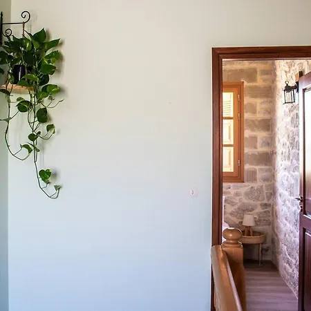 Amygdalia Traditional House Feriehus *